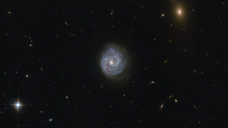 Gravitational Waves & Black Holes: What New Detectors Could Reveal