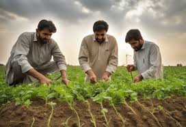 How Startups are Shaping Pakistan’s Economy