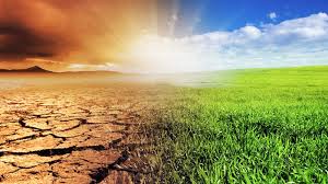 How Climate Change Affects Pakistan’s Economy