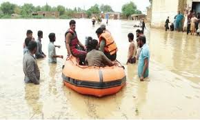 The Role of NGOs in Disaster Relief in Pakistan