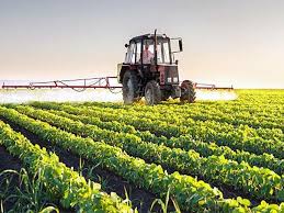 The Future of Sustainable Agriculture in Pakistan under Climate Stress
