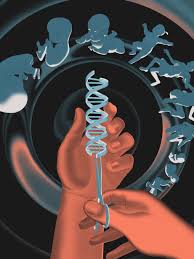 CRISPR and Gene Editing: Ethical Debates and Medical Potential