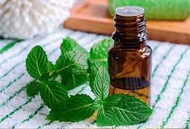 Traditional Pakistani Home Remedies That Still Work