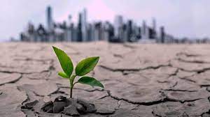 Climate Disasters Continue to Challenge Pakistan in 2025