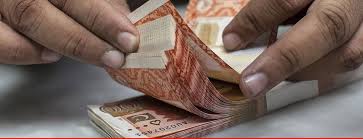 Overseas Remittances Remain Pakistan’s Economic Lifeline